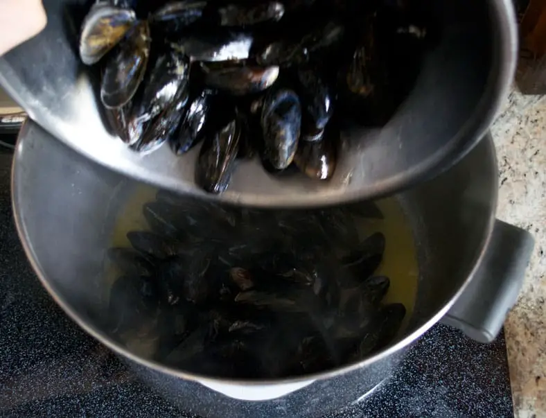 Adding mussels to the pan for steaming