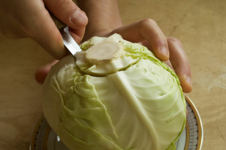 Cutting of cabbage leaves