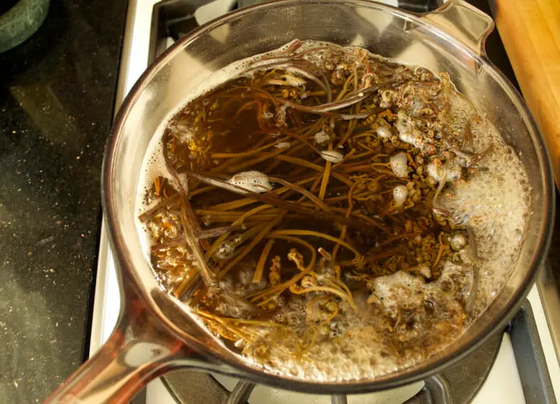Boiling of kosari for the dish toppings