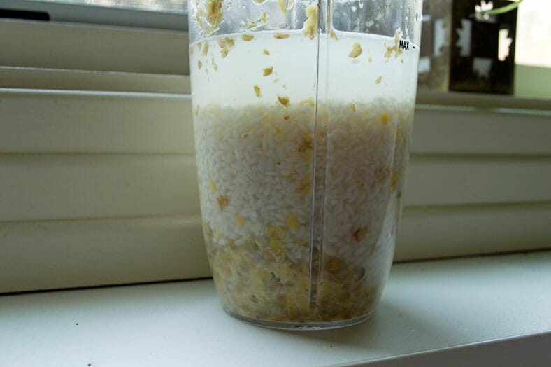 Prior to creating a rice flour batter, this is the rice in our blender along with a dash of water