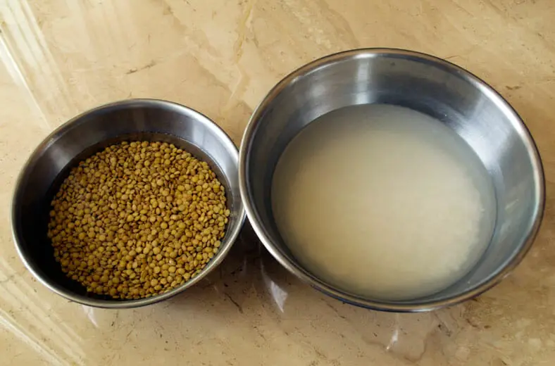 Before being made into a paste, it's helpful to soak your lentils and rice in water. From there, you can create your rice flour batter for these delicious Chatamari (Nepali rice flour crepes)