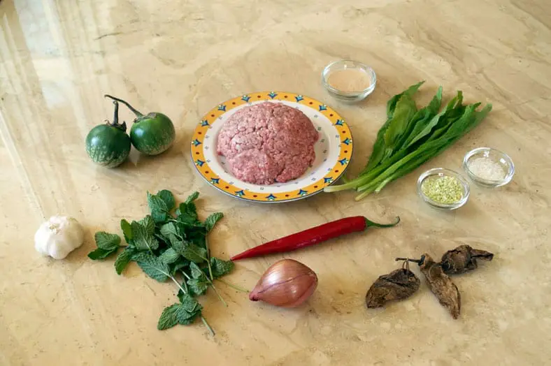 View of ingredients - pork, mint leaves, garlic, chili pepper, shallots, rice, fish sauce, eggplant
