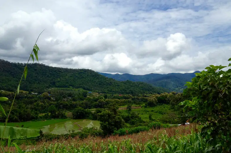 The landscape of the jungles outside of Chiang Mai, Thailand