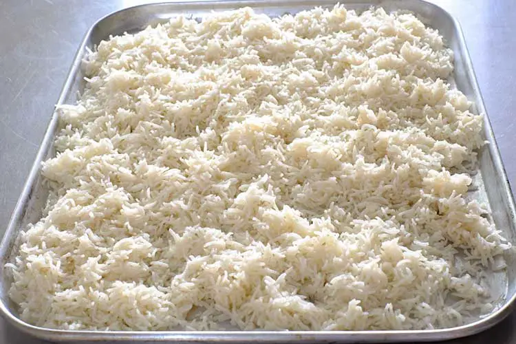 Spreading coated rice in tray for drying