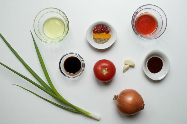 View of chutney ingredients - onion, tomato, green onion, spices