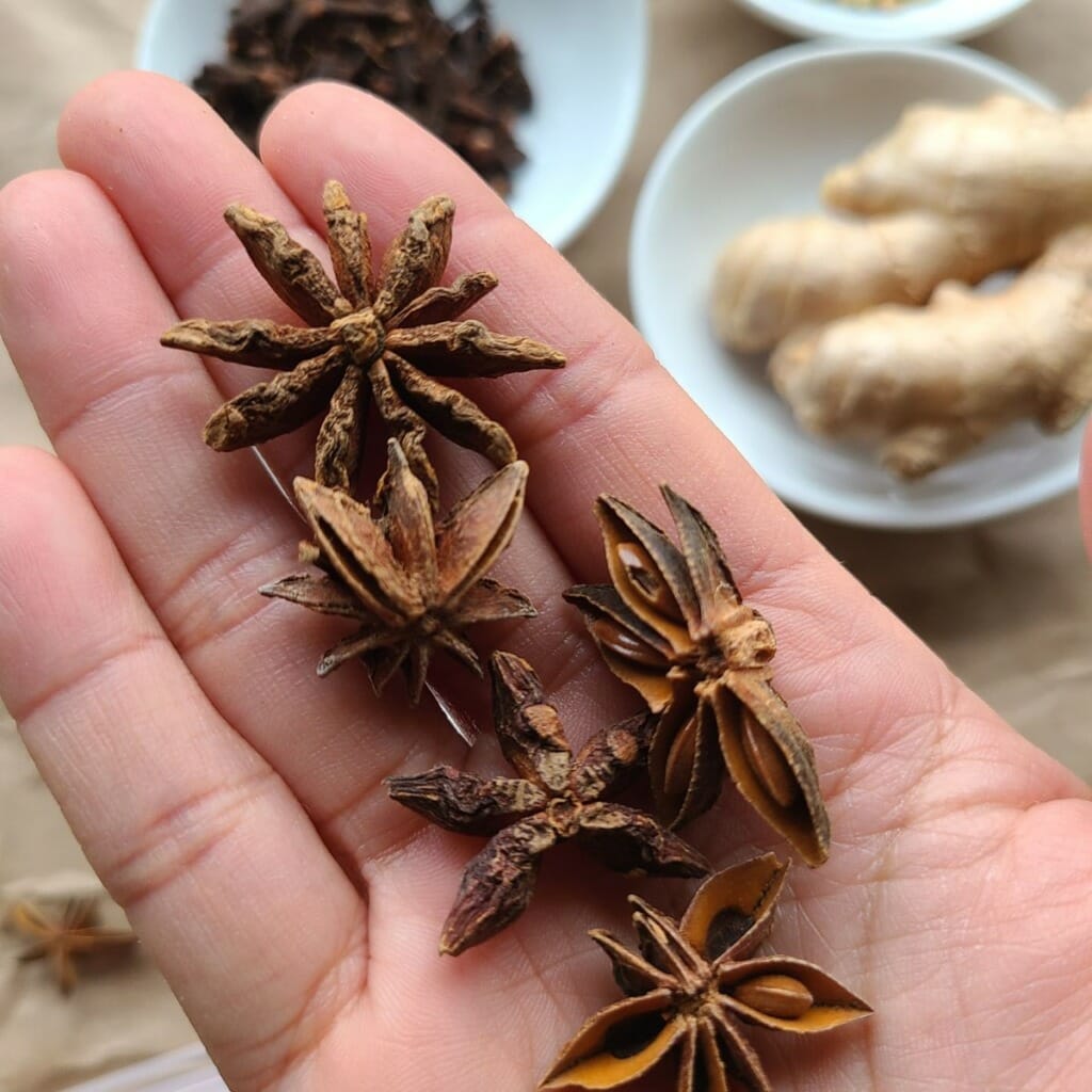 hand holding a handful of star anise close up 