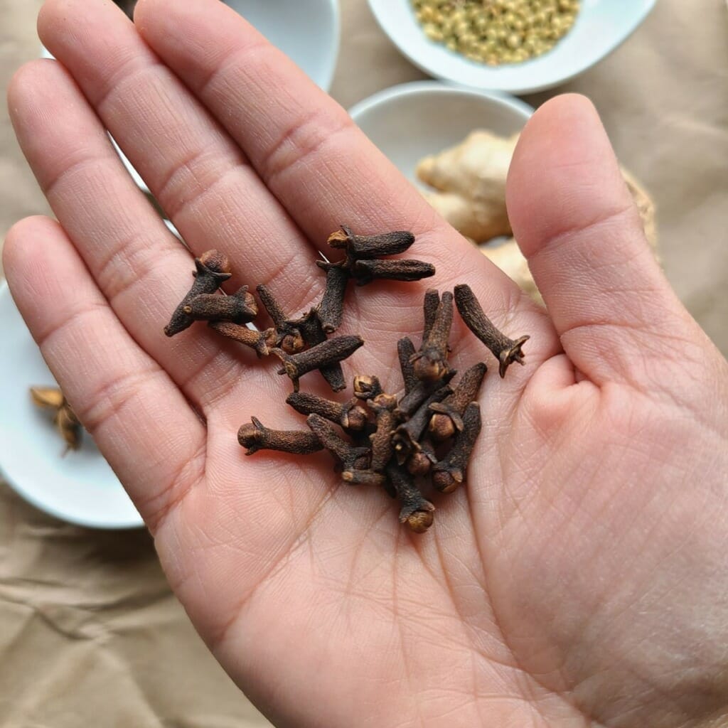 hand holding whole cloves close up - pho spices