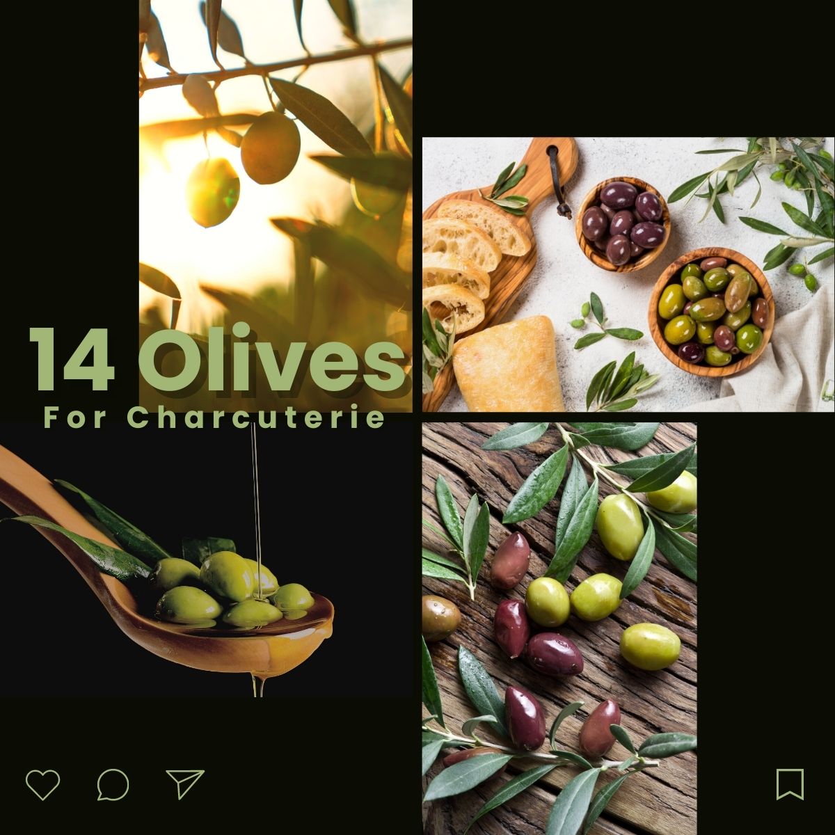 graphic design image of 14 different olives for charcuterie