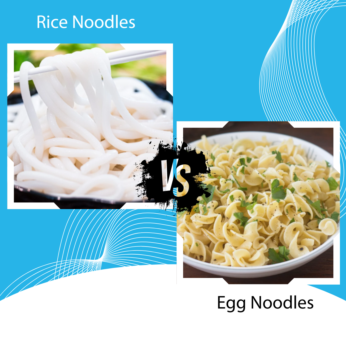 RICE NOODLES vs EGG NOODLES