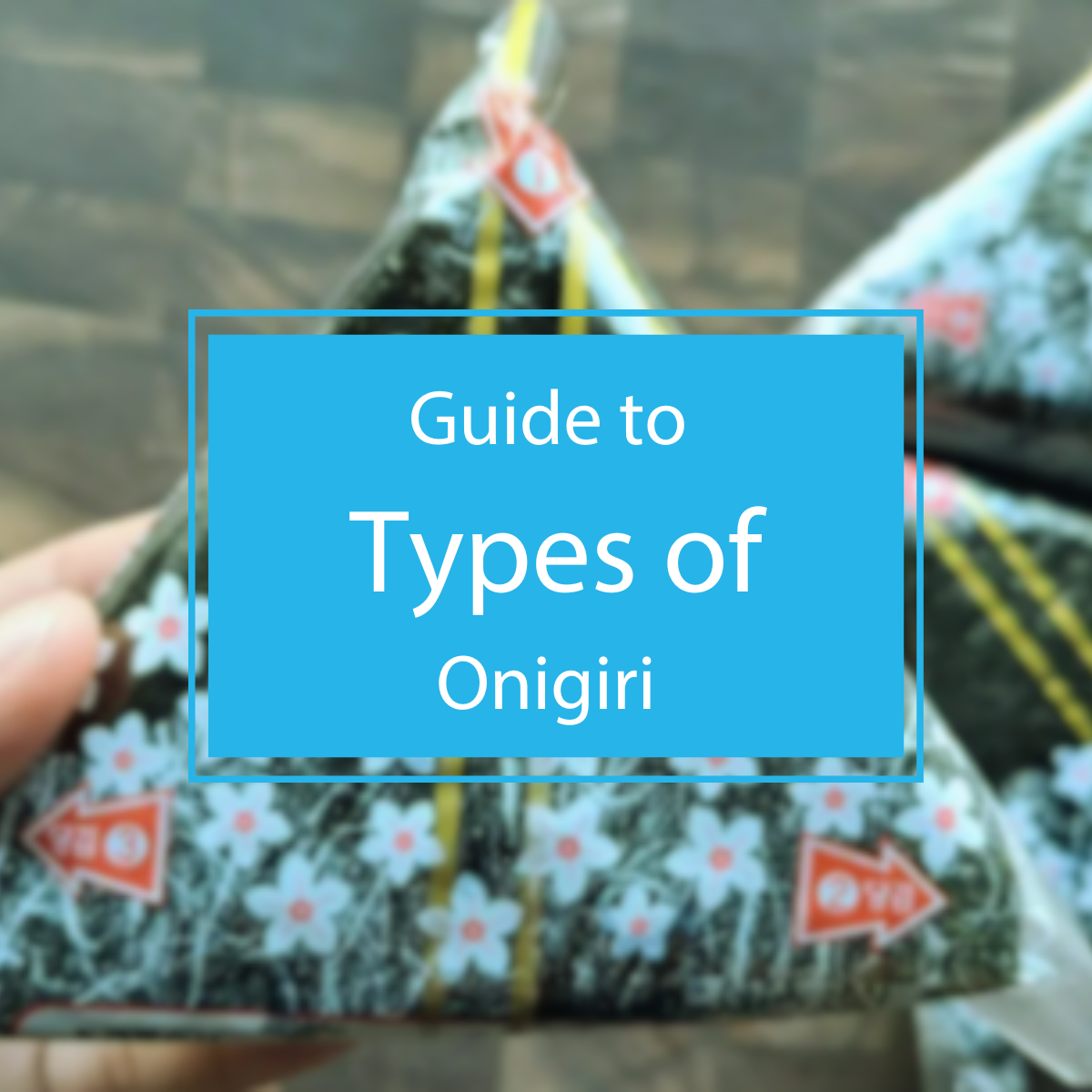 Types of Onigiri