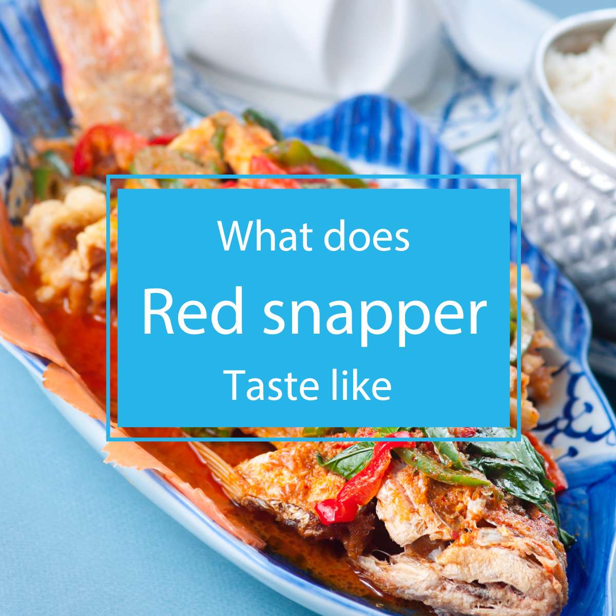 What does Red snapper taste like