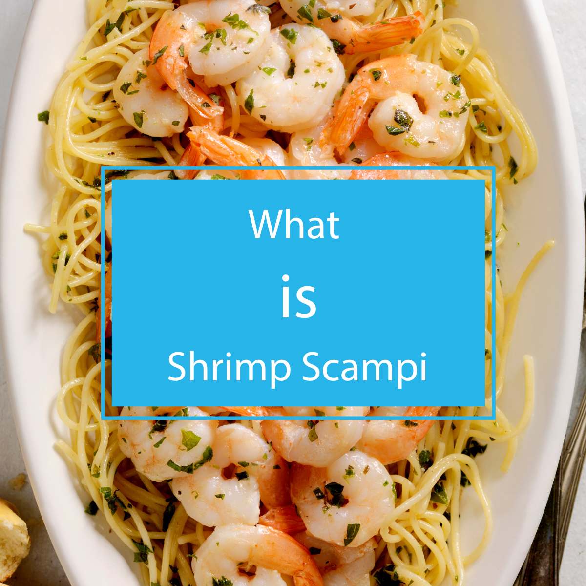 What is shrimp scampi