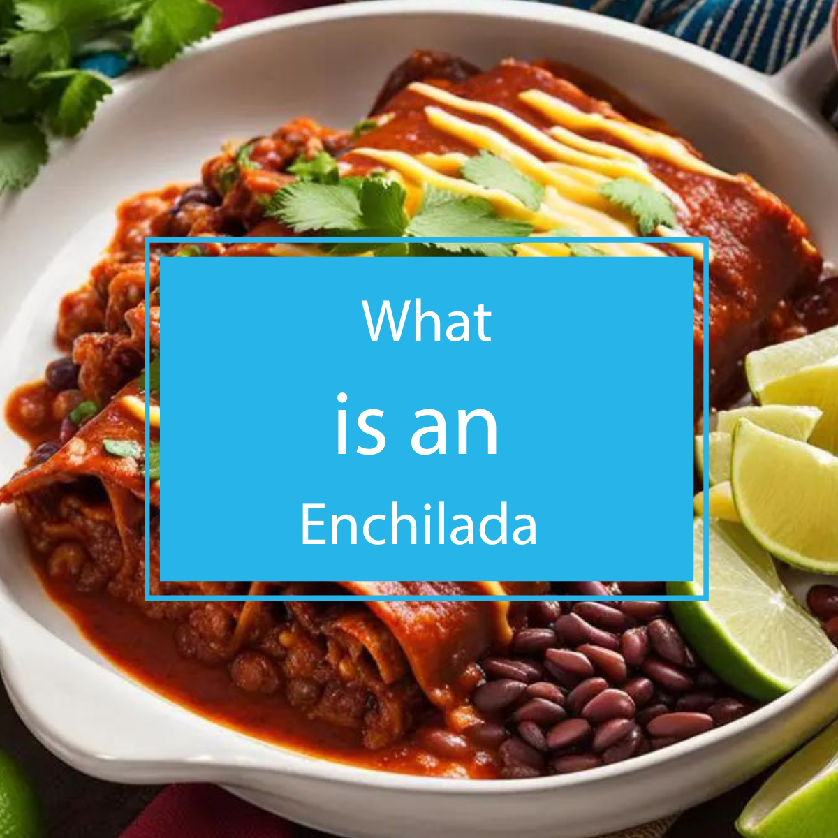 What is an Enchilada