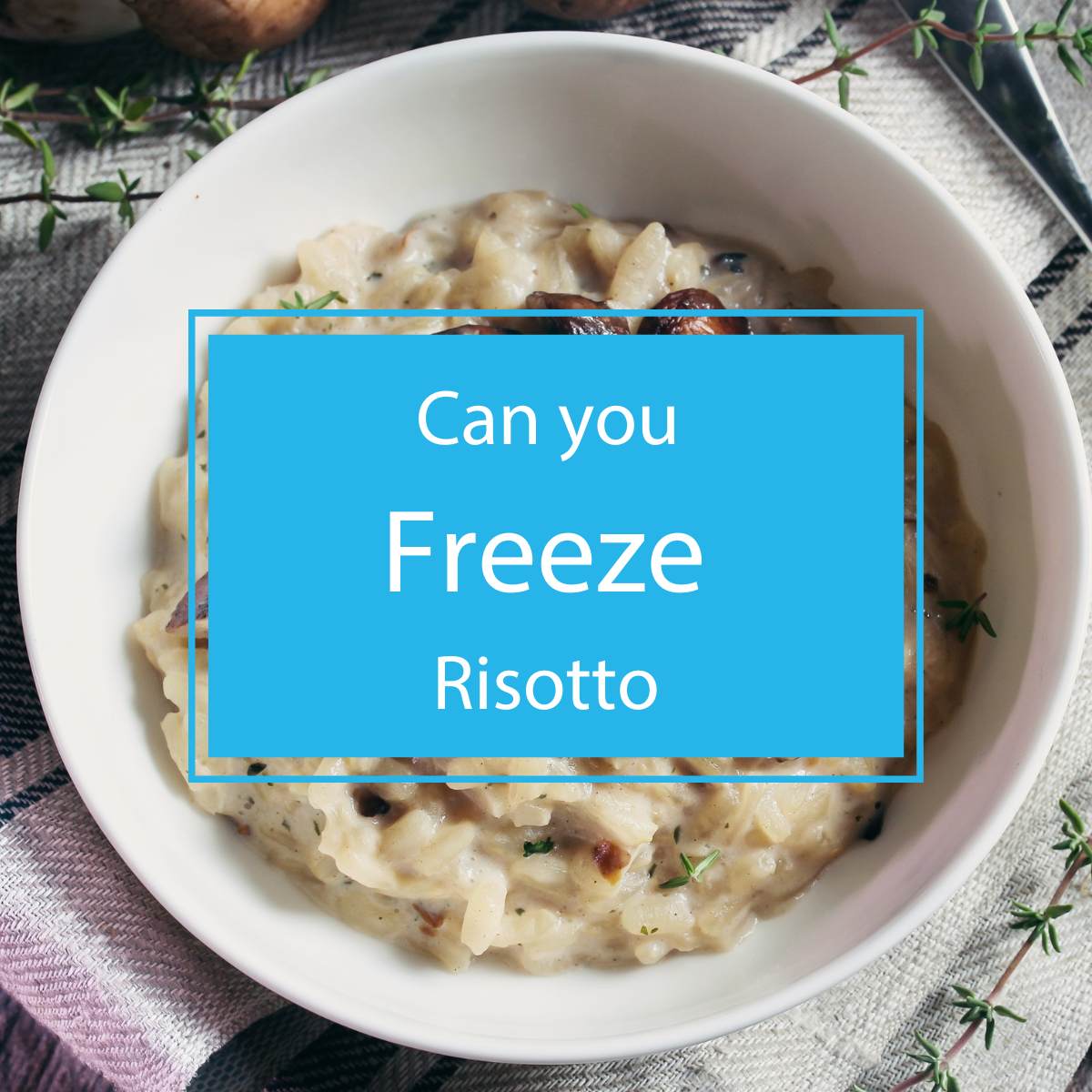 Can you Freeze Risotto