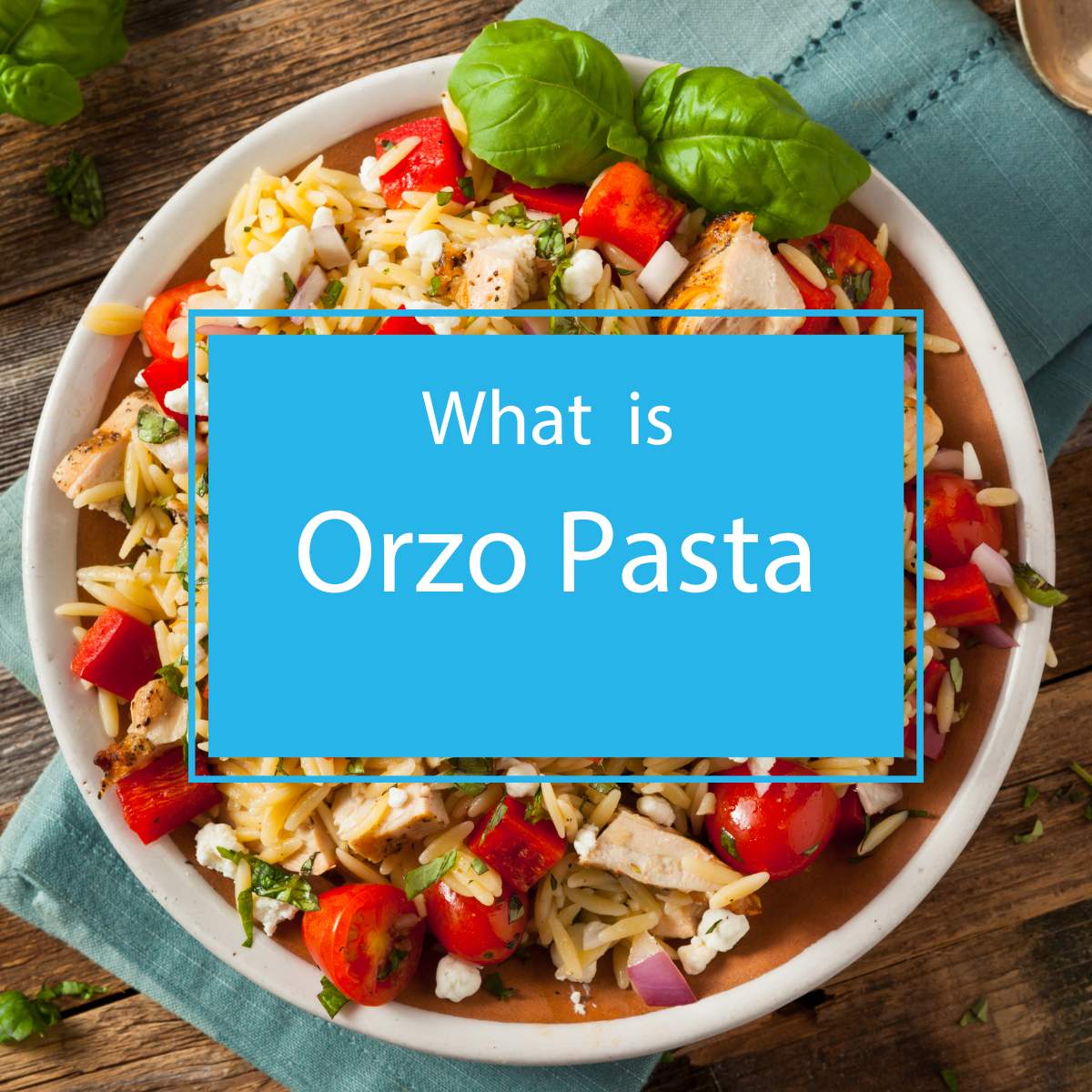 What is Orzo Pasta