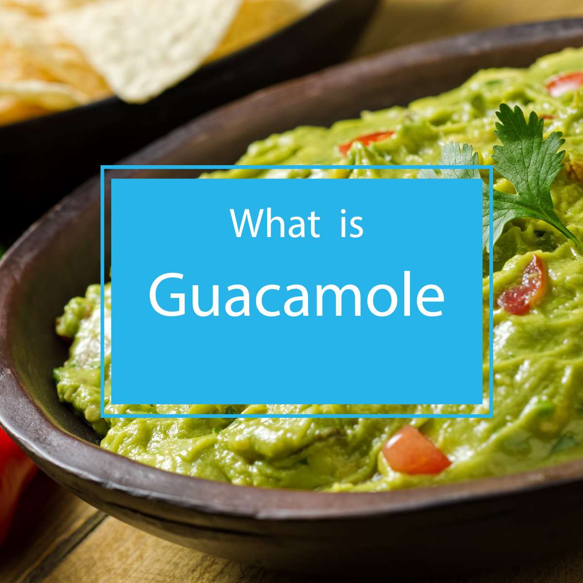 What is Guacamole