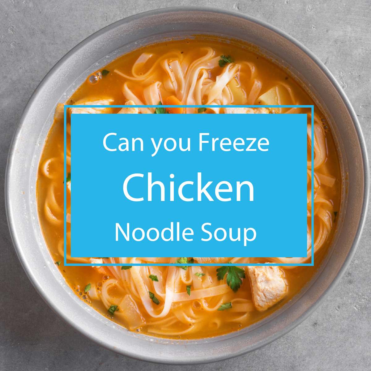 can you freeze chicken noodle soup