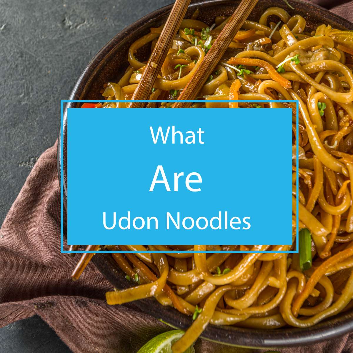 what are udon noodles