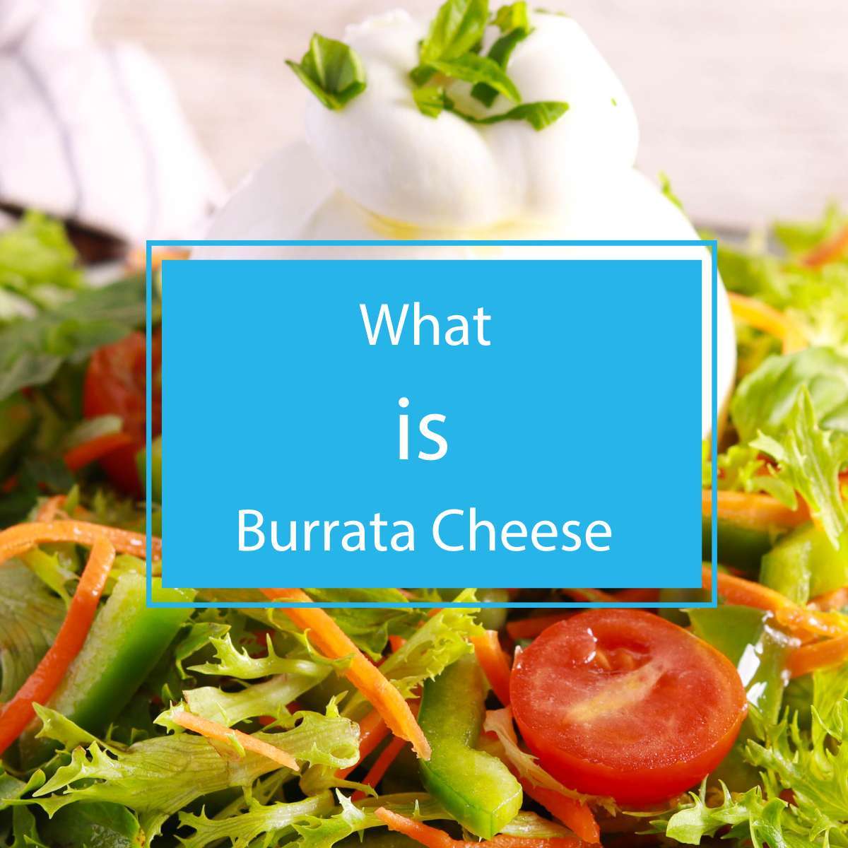 What Is Burrata Cheese