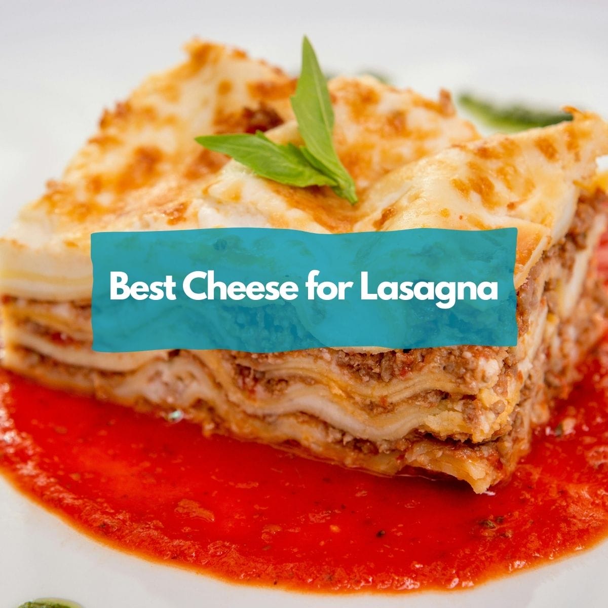 Cheese for lasagna