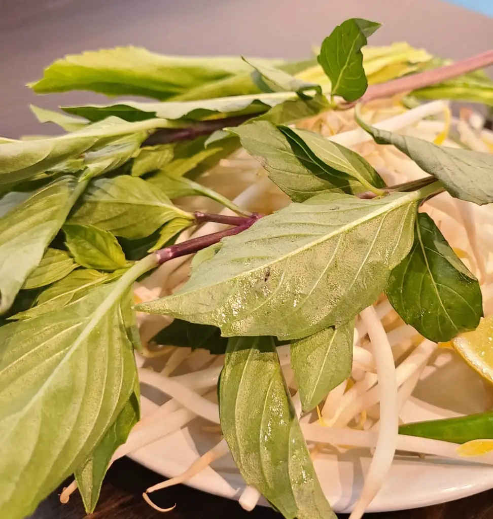 Basil leaves on a plate.