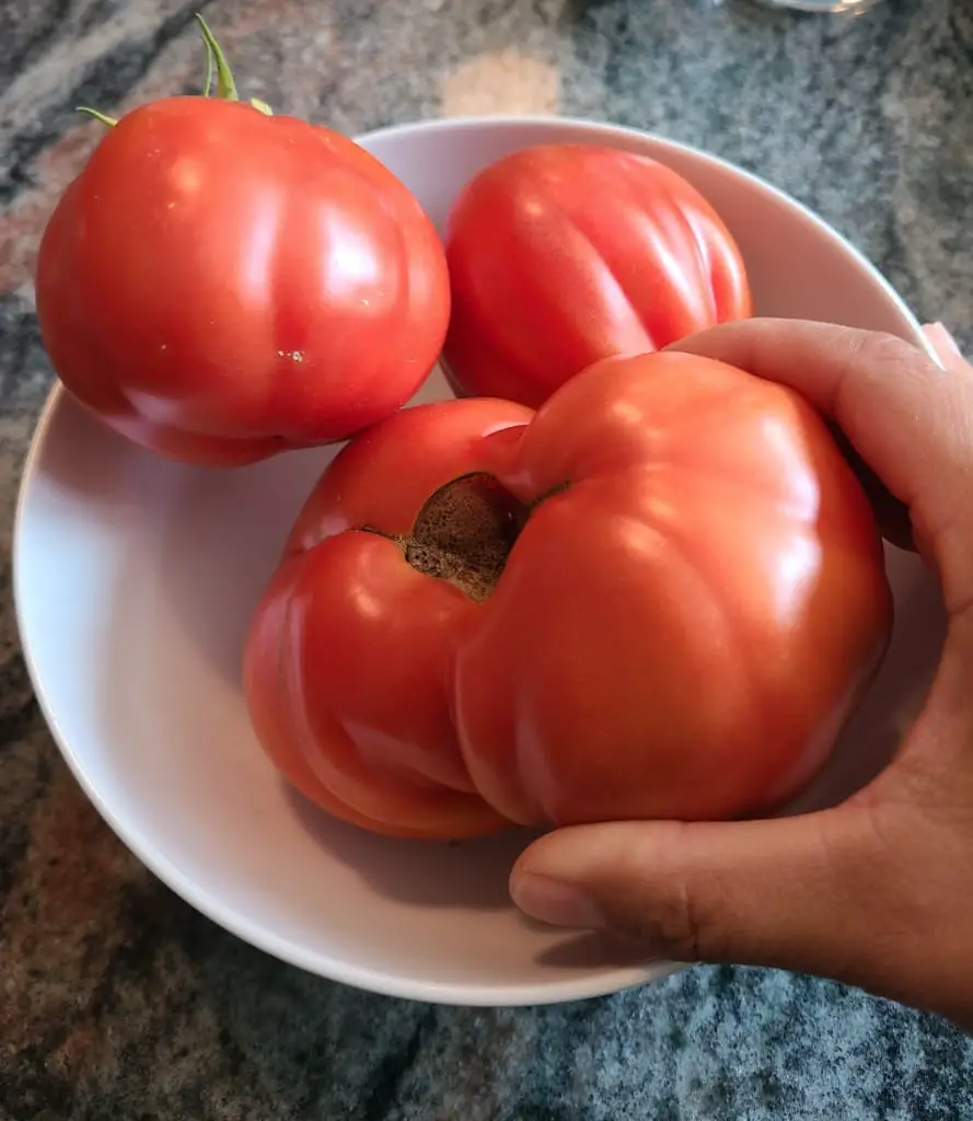 tomatoes on a bowl with a hand holding one.